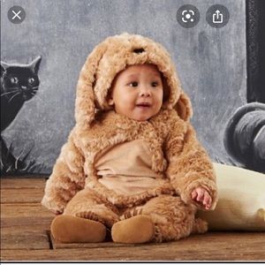 12-24 months pottery barn puppy costume